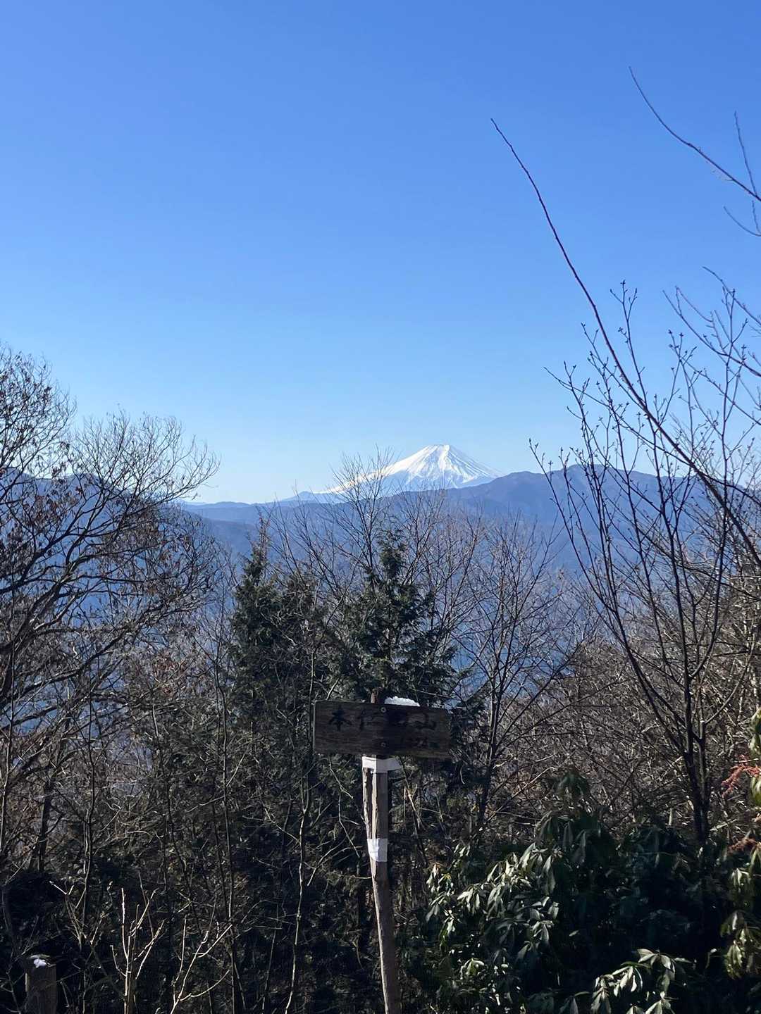 鳩ノ巣駅-大根ノ山ノ神-瘤高山-本仁田山 周回コースの写真