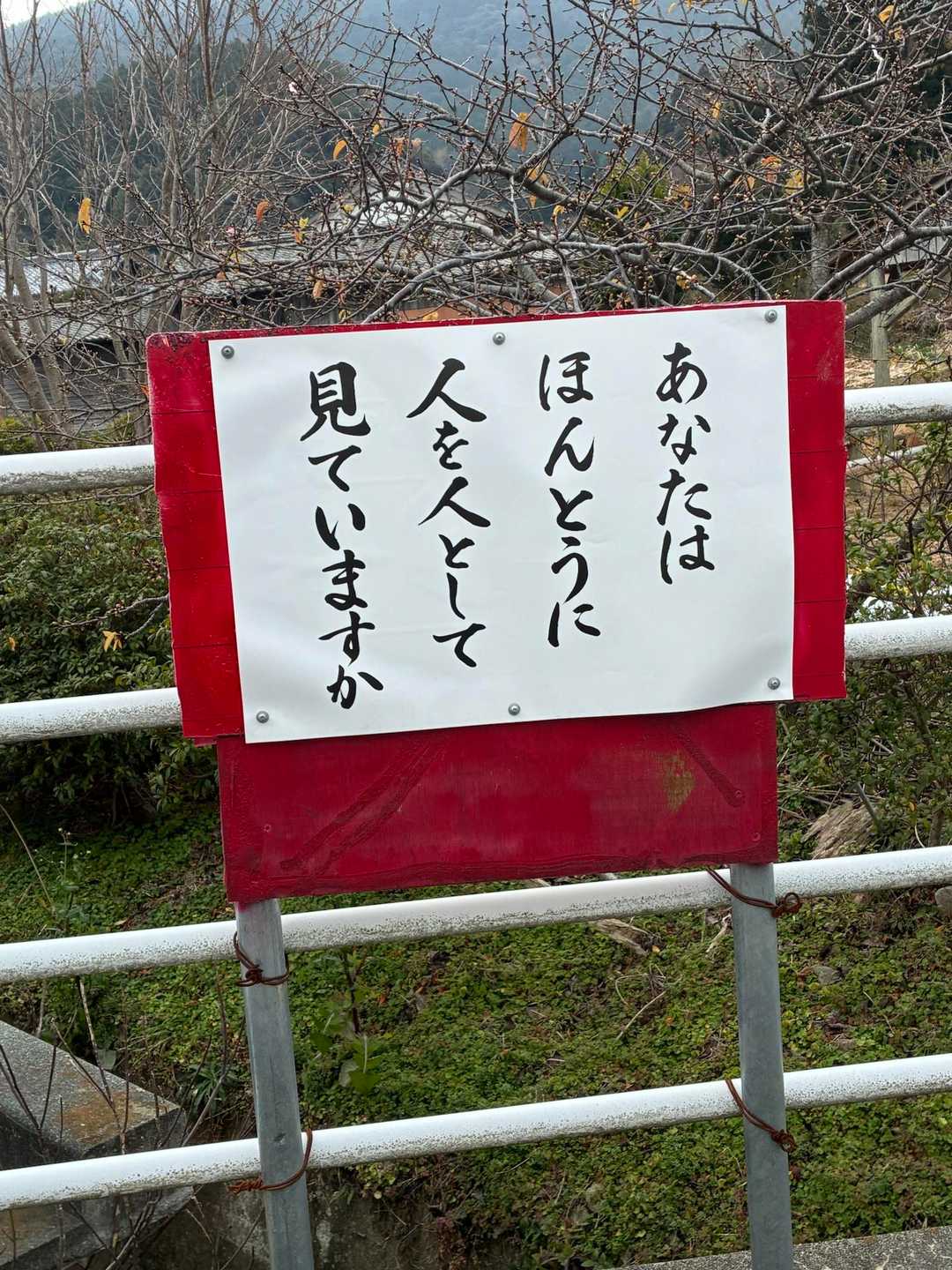 正面きってそう言われたらちょっとたじろいでしまう。