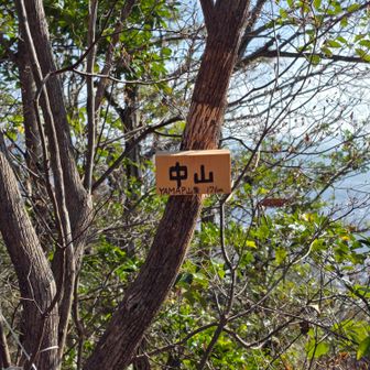 中山とうちゃこ