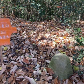 阿須木蓮寺山（入間市最高峰）