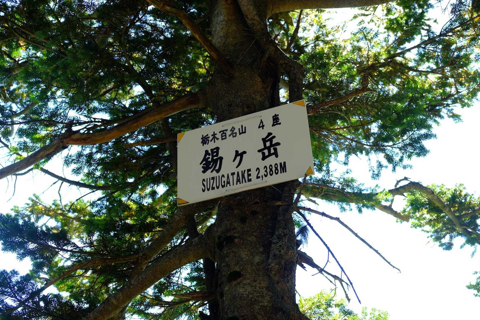 山頂標識。ちょっと高いところにあります