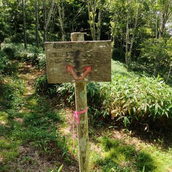 御池山ハイキングコース