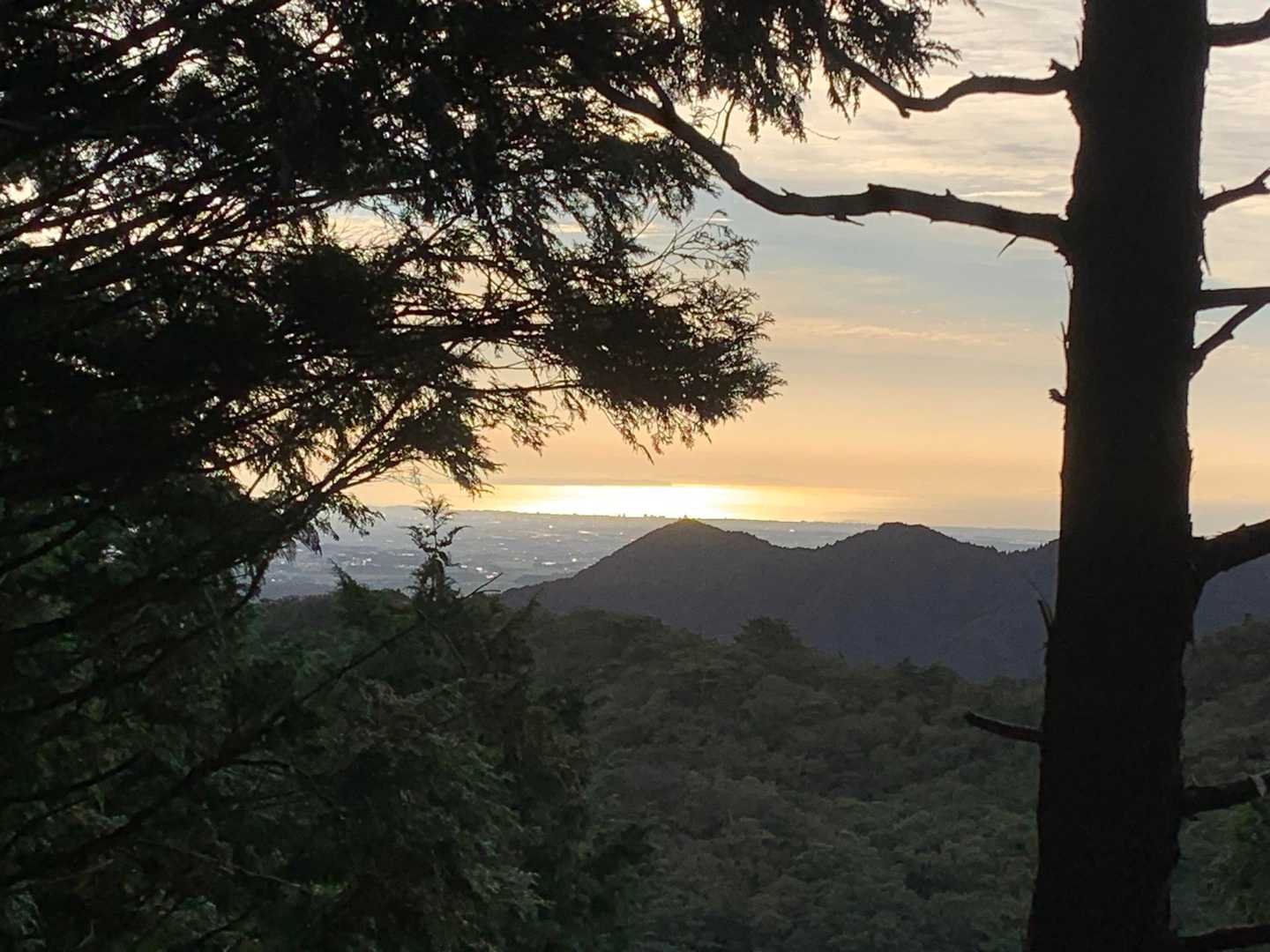 木々の間から朝日に輝く海が見えました*\(^o^)/*伊勢湾です。