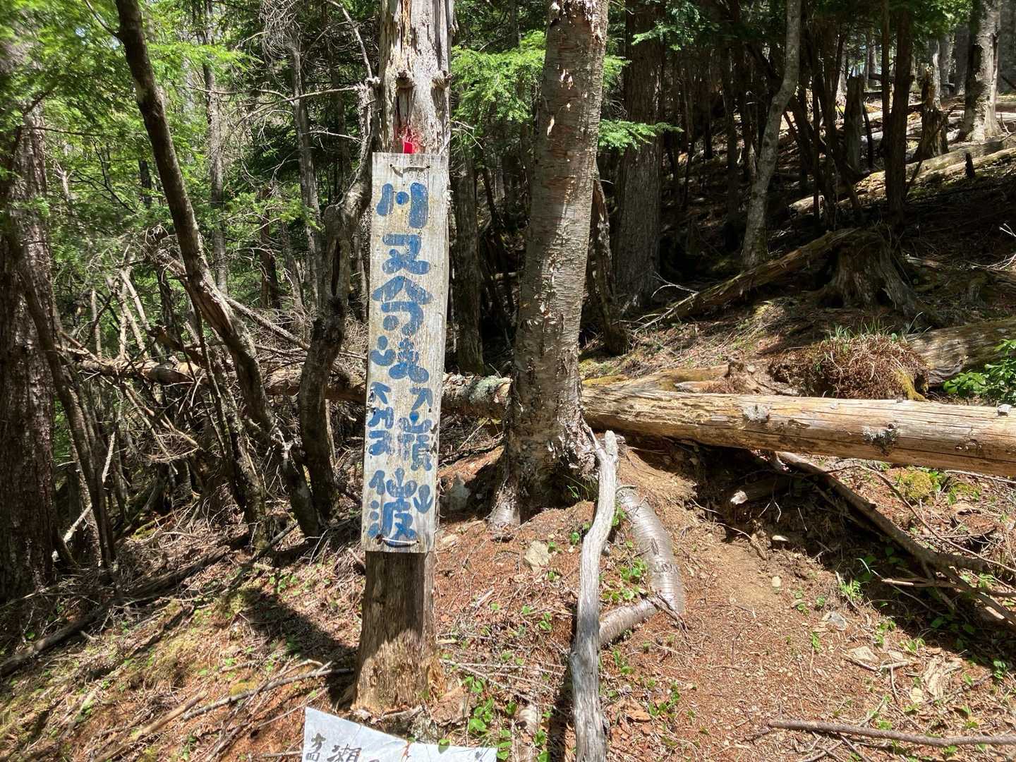 川又分岐
川俣軍司
は深川通り魔事件
薬物はいか🦑んよ！