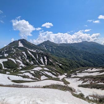 焼山、火打、妙高の全景
てか雪多すぎやん
断層見るにまだ80cmくらい厚さがある
2000m程度の標高なのにまだあるとは