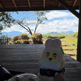 ランチタイム！