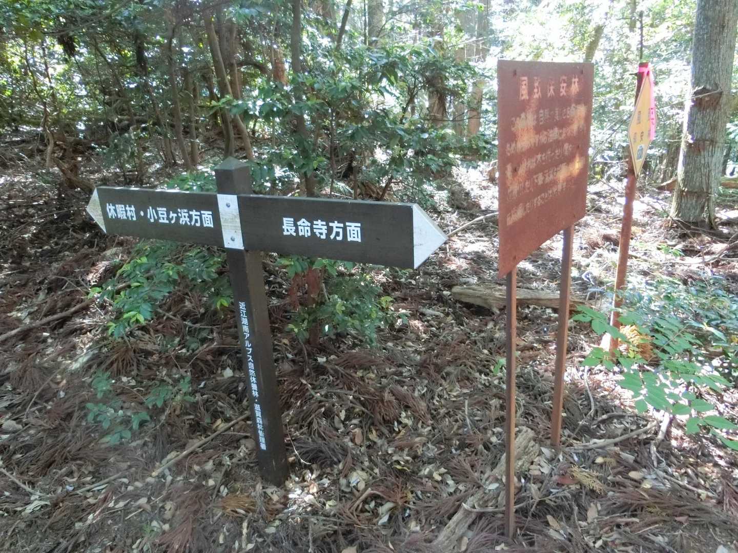 道標もちょこちょこあって道迷いの心配は一切なし