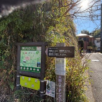 登山道の出口(入口)