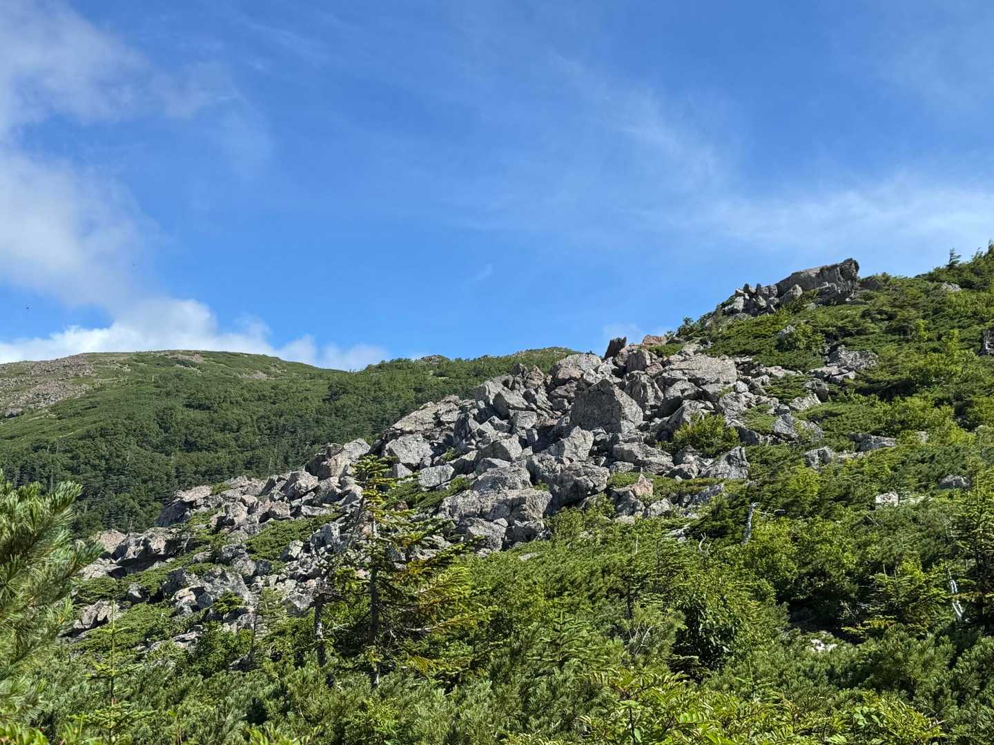 ゲート-大門沢登山道入口-広河内岳-大籠岳-白河内岳-笹山 縦走コースの写真