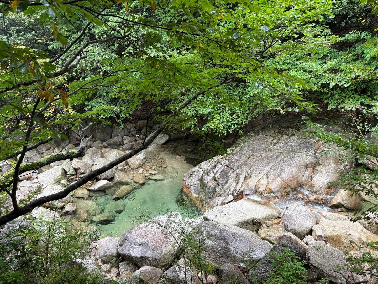 鈴鹿は本当に川が綺麗
魚に生まれ変わったら
ここに住もう