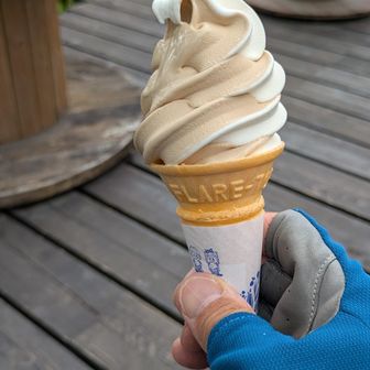 ￥560 
濃厚ですね.
でも私には
🏪の🍦の方が美味いかも！？
このあと
🅿️🚙で野球⚾️Tv観戦.
優勝は横浜を一蹴した
智弁和歌山に✨
