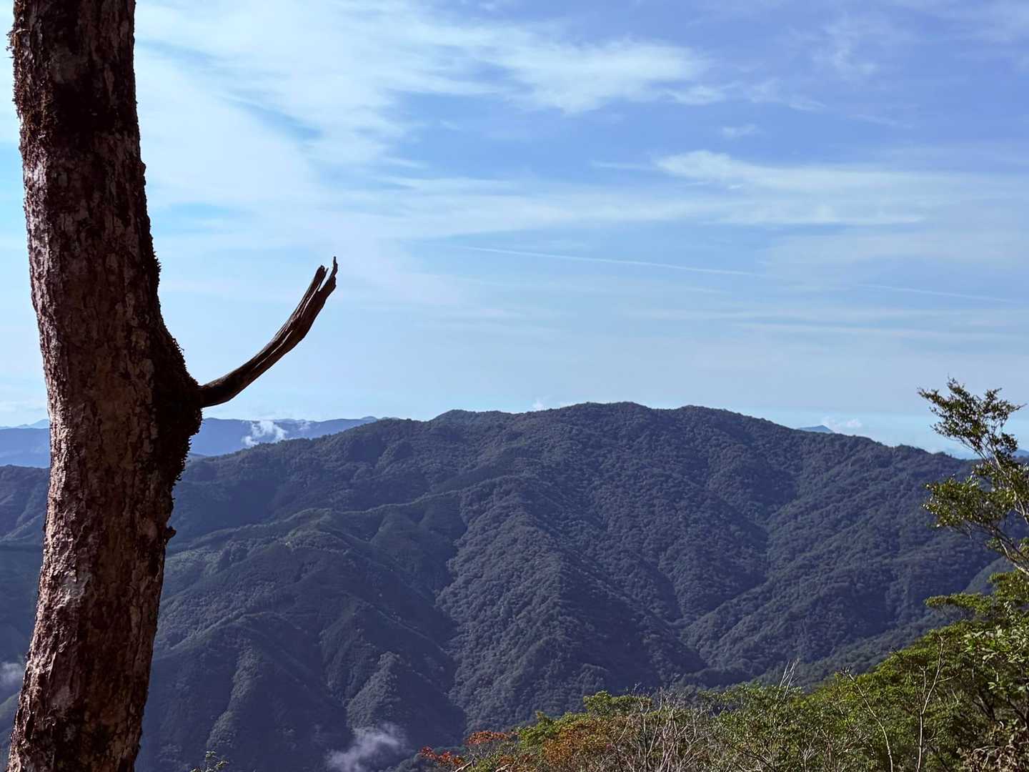 目指す扇山⛰️
意外と早く着けるんじゃ？
安直な考えでした〜。ここから連なる山々を巡ります😅