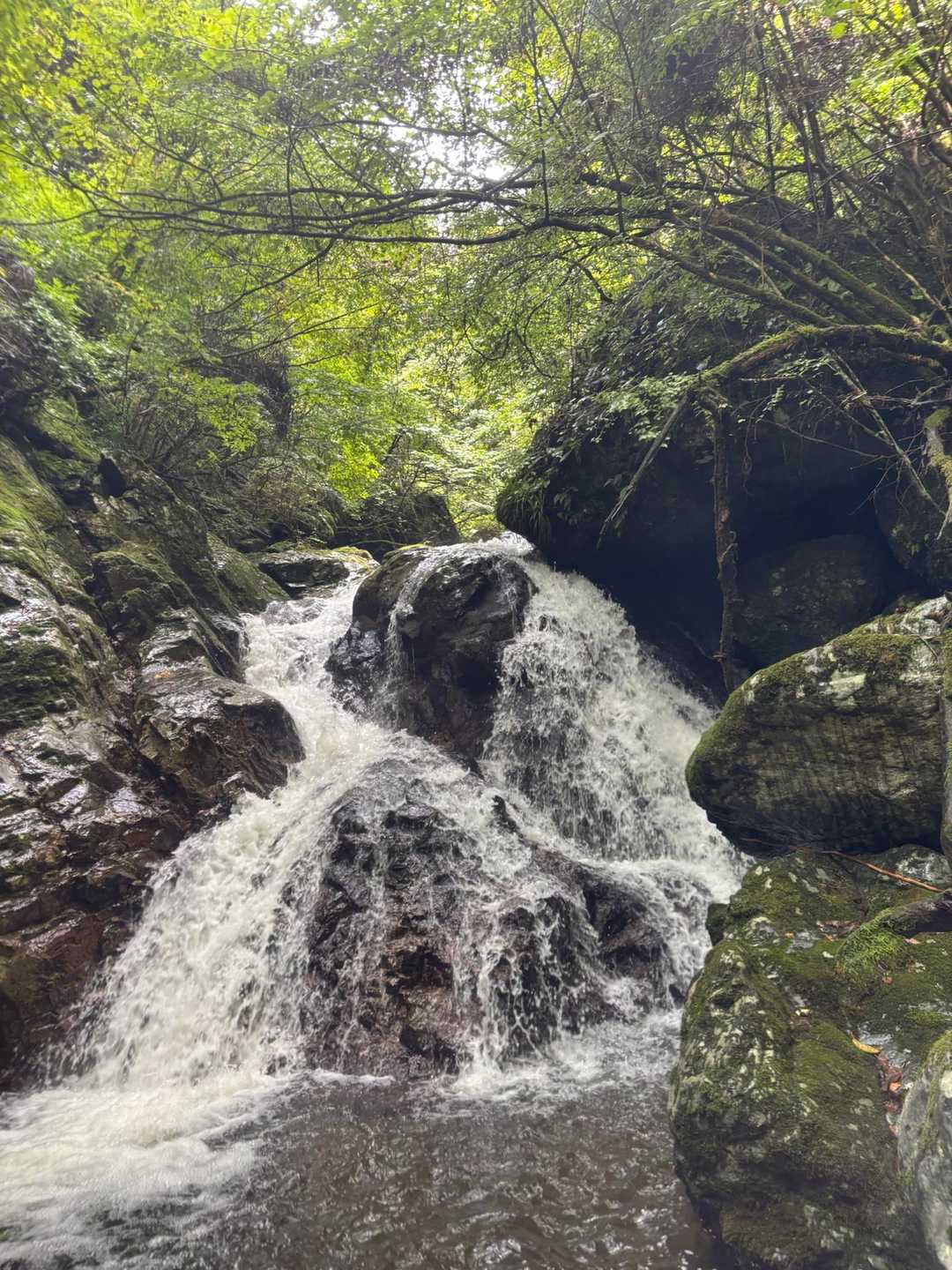滝見台-百合ヶ岳 周回コースの写真
