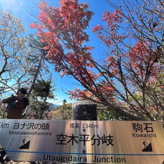 分岐
コースタイムが同じの2本の道
駒石のほうに行かず左を選んだ！