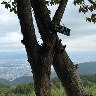 大沢山