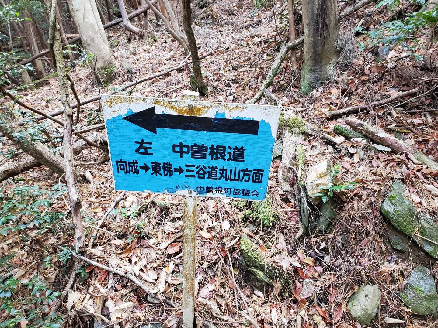 中曽根道分岐。以前この道を探索しましたが途中で道は無くなっていました。