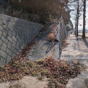 ☝️勝坂登山口から