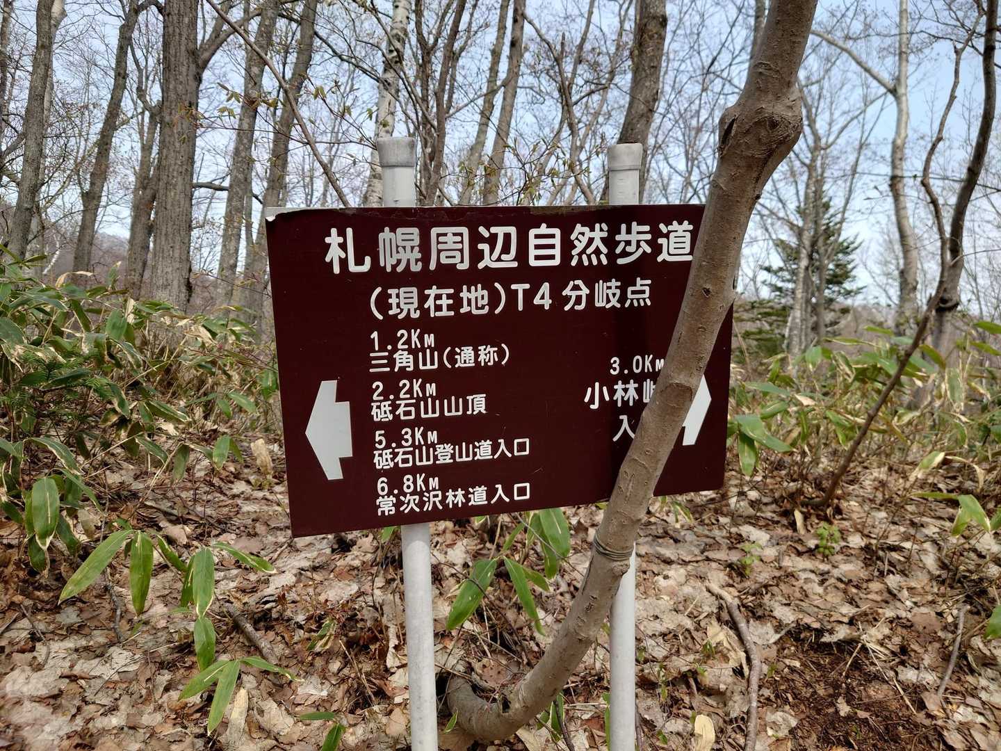 T4まで来ました。体感的には中間地点。ここから先は下ったり登ったり登ったり💪
