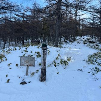 登山口、表コース、帰り中コースとしました