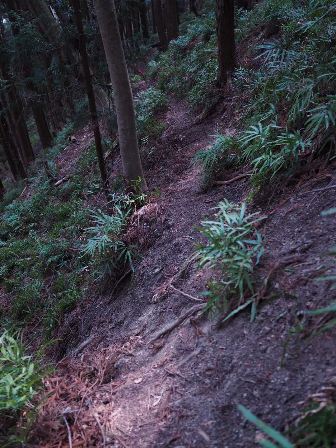 ほそ尾根が崩れています⚠️