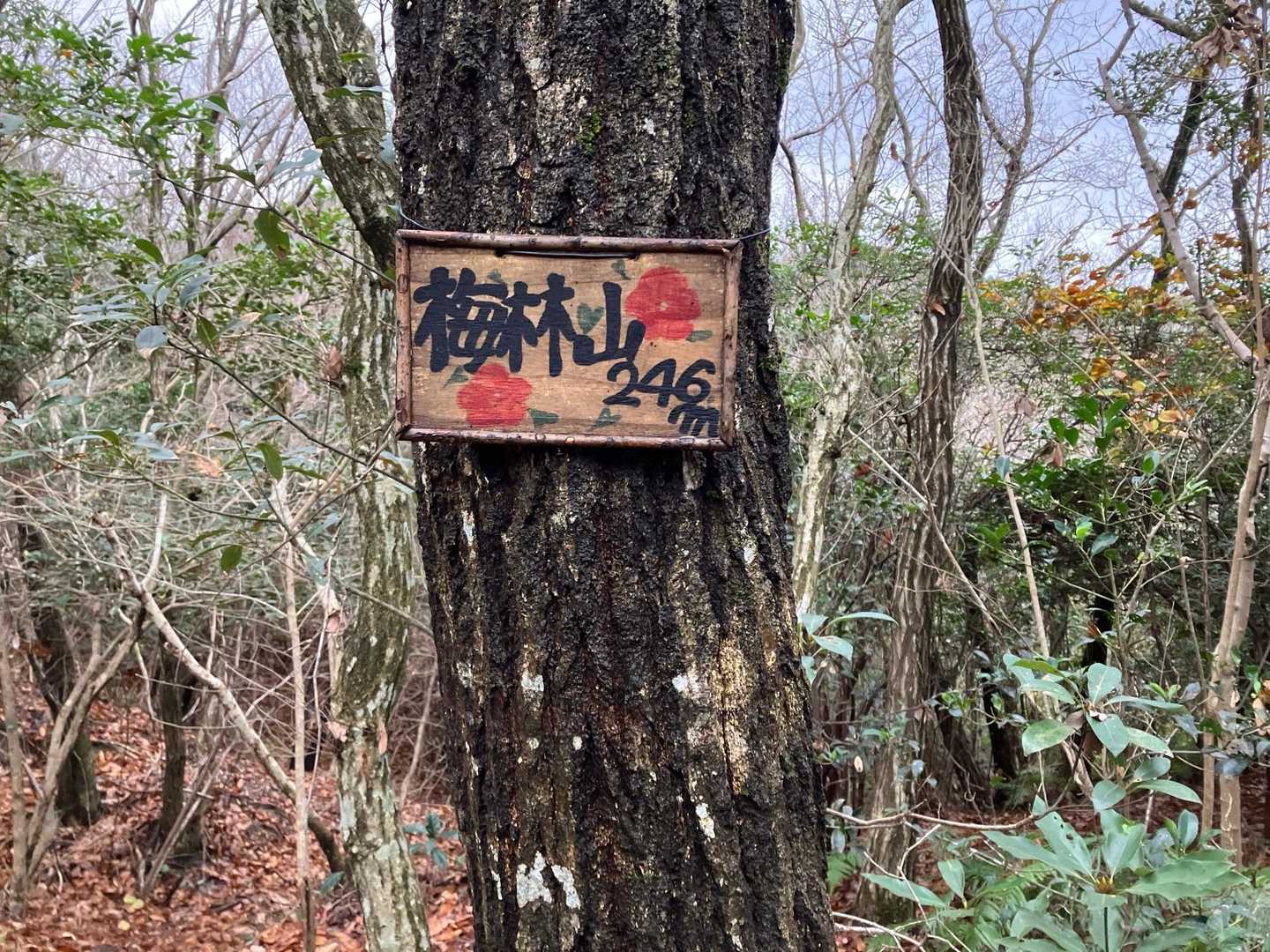 片江山 往復コースの写真