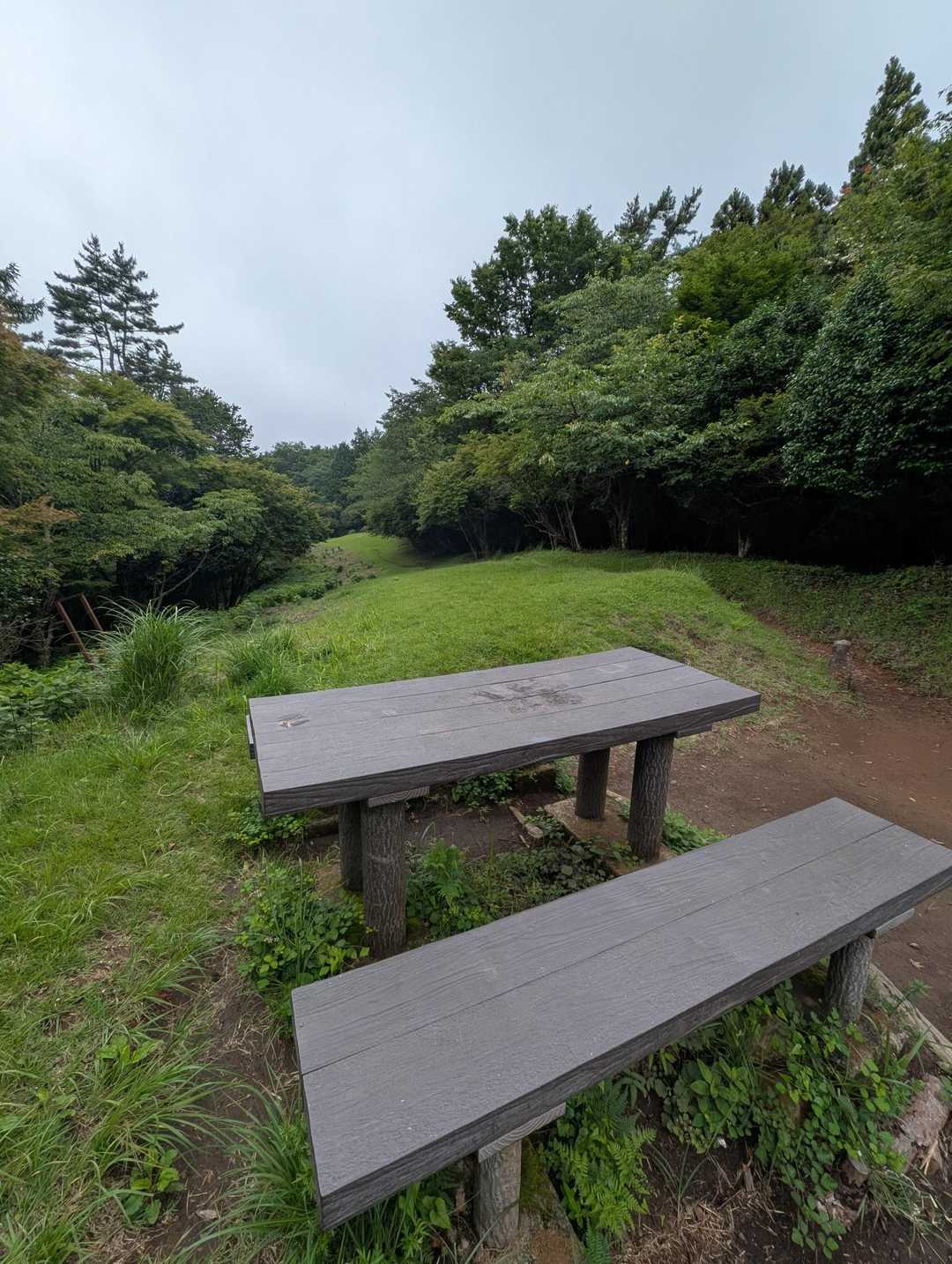 ここは芝生の広場になっています。