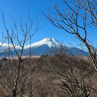 下りながらの眺め