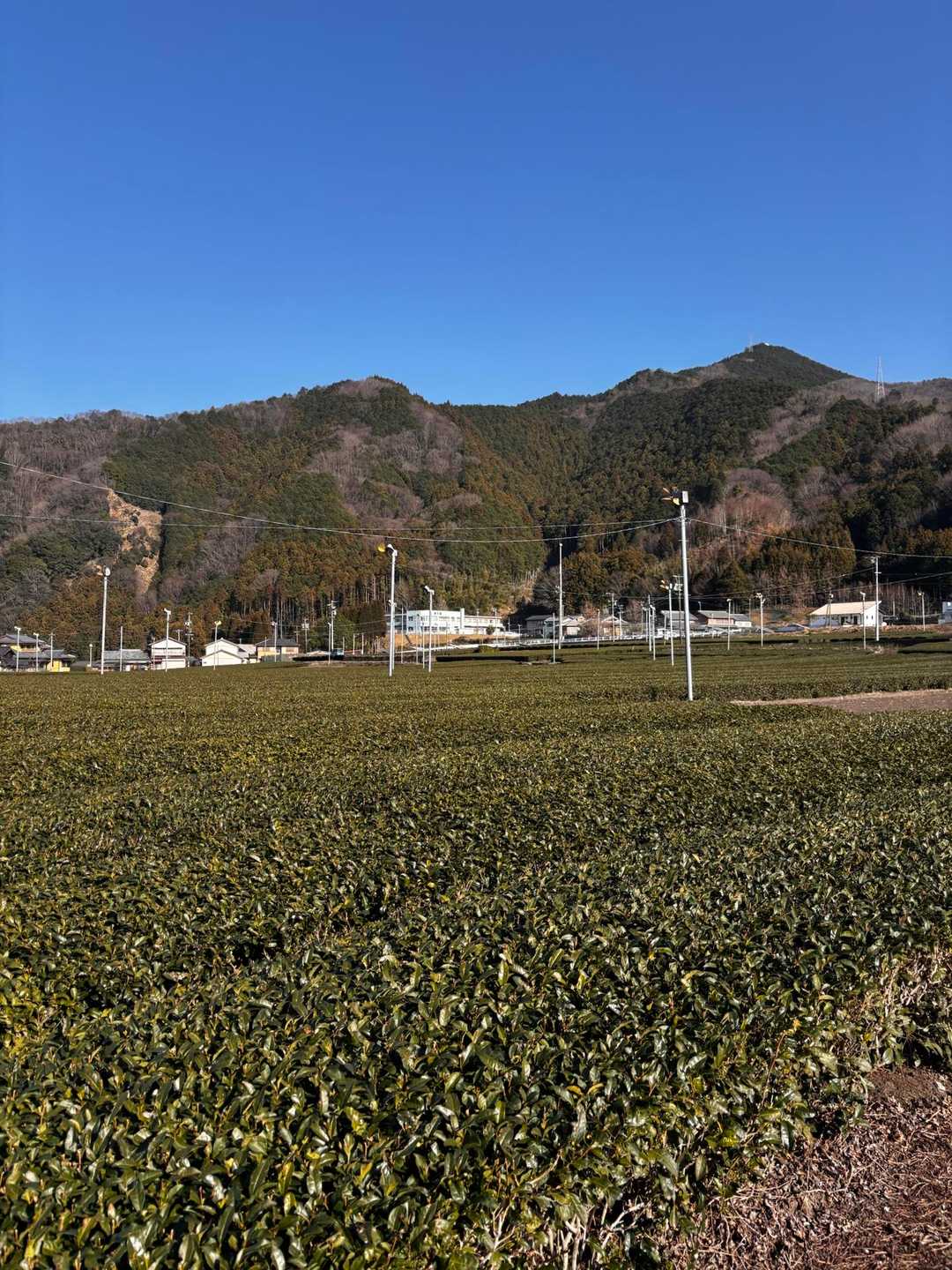 南猪子山-烏岳 往復コースの写真