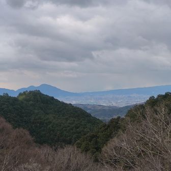 しかし、花のない壷阪寺ははなむすめには寒くて渋すぎた😵💦。

セブン🏪でラテ休憩して退散💨。