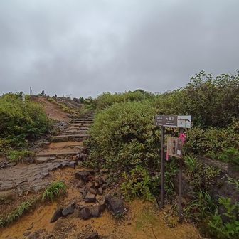 駐車場目の前の登山口