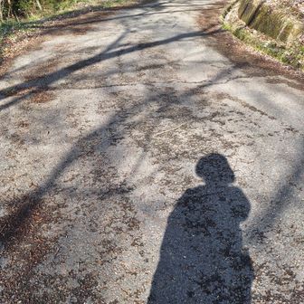 さあ、さかがわ館まで林道を下るよ〰️😄