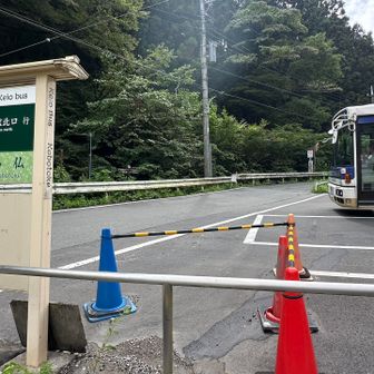 「小仏」バス停にバスがいるが乗車しないで歩く🦶