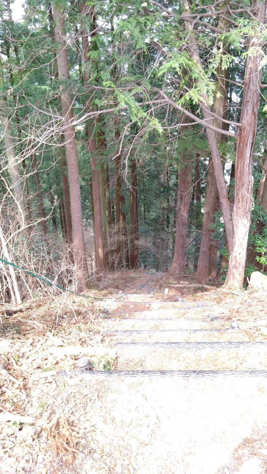 子王山-高山バス停 往復コースの写真