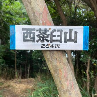 定番の休憩所です。