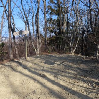 ここを三角点と勘違いしました。