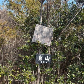 ピーク少し過ぎたところにこの看板ありました