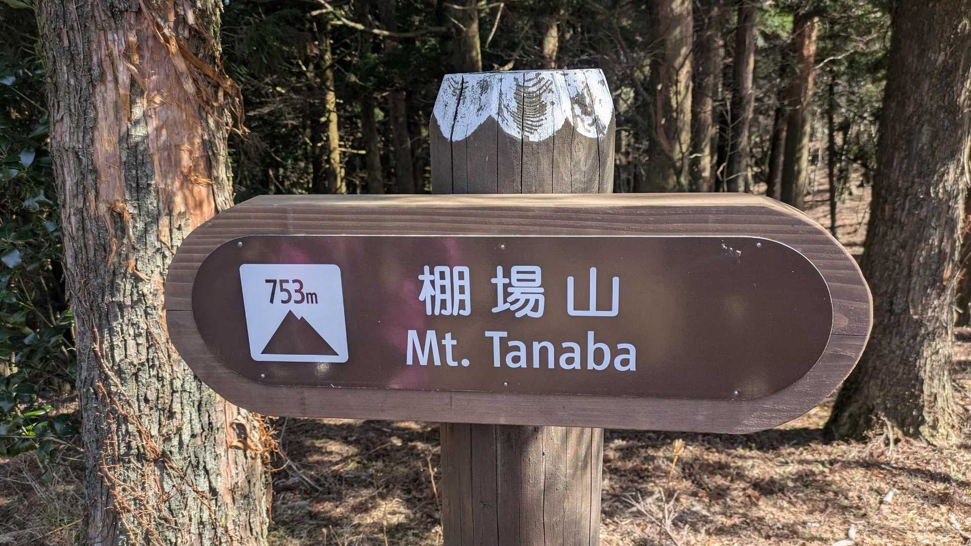 仁科峠-風早峠-魂の山-土肥峠-吉奈峠-棚場山-土肥峠 縦走コースの写真
