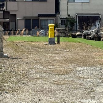 黄色いポスト発見👀