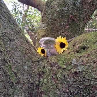 🌻トトロ