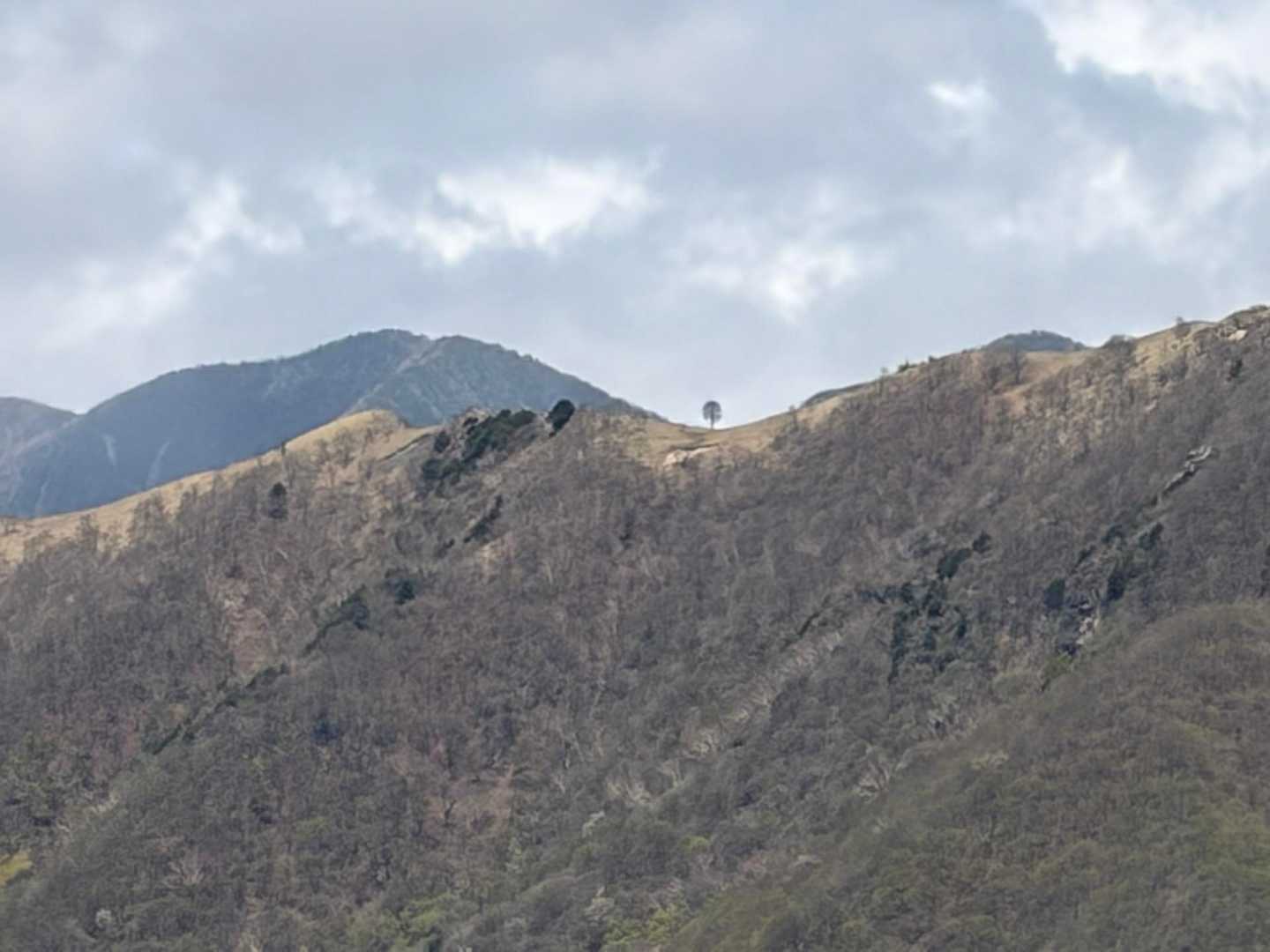 備前楯山入口　-備前楯山 往復コースの写真