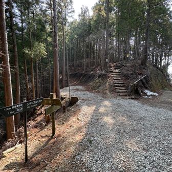 右から登って来ました

正面のシダンゴ山方面の木階段へ
