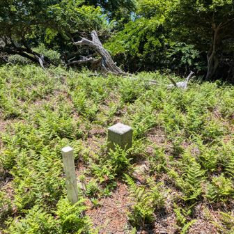 とりあえず袴ヶ岳三角点