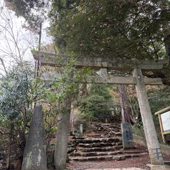 3登目入ります⤴️⤴️⤴️