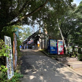 もう開店してる？頂上の茶屋とビジターセンターはまだ閉まってた。