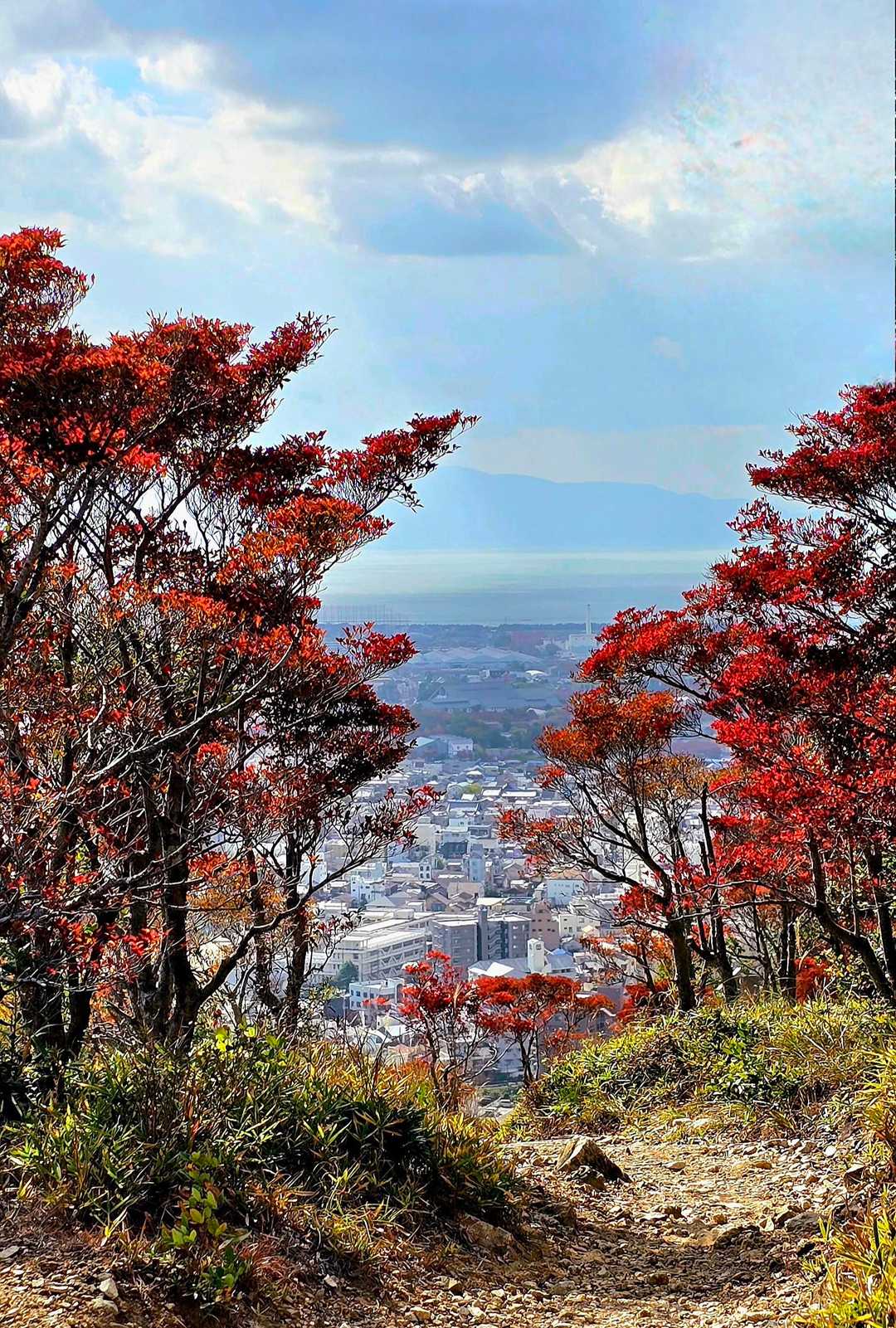 ドウダンツツジ｣の山🍁 / やっさんのその他データ | YAMAP / ヤマップ