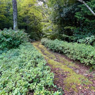 勝楽寺脇に登山口