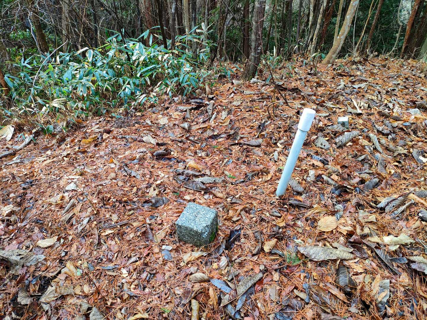 山頂はこんな感じ。