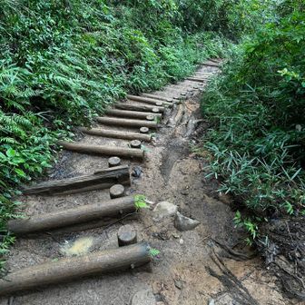 湿った木の階段は
滑って怖いですね😓