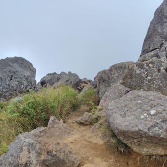 まじ舐めてた。こんなに登りごたえが有るとは・・・