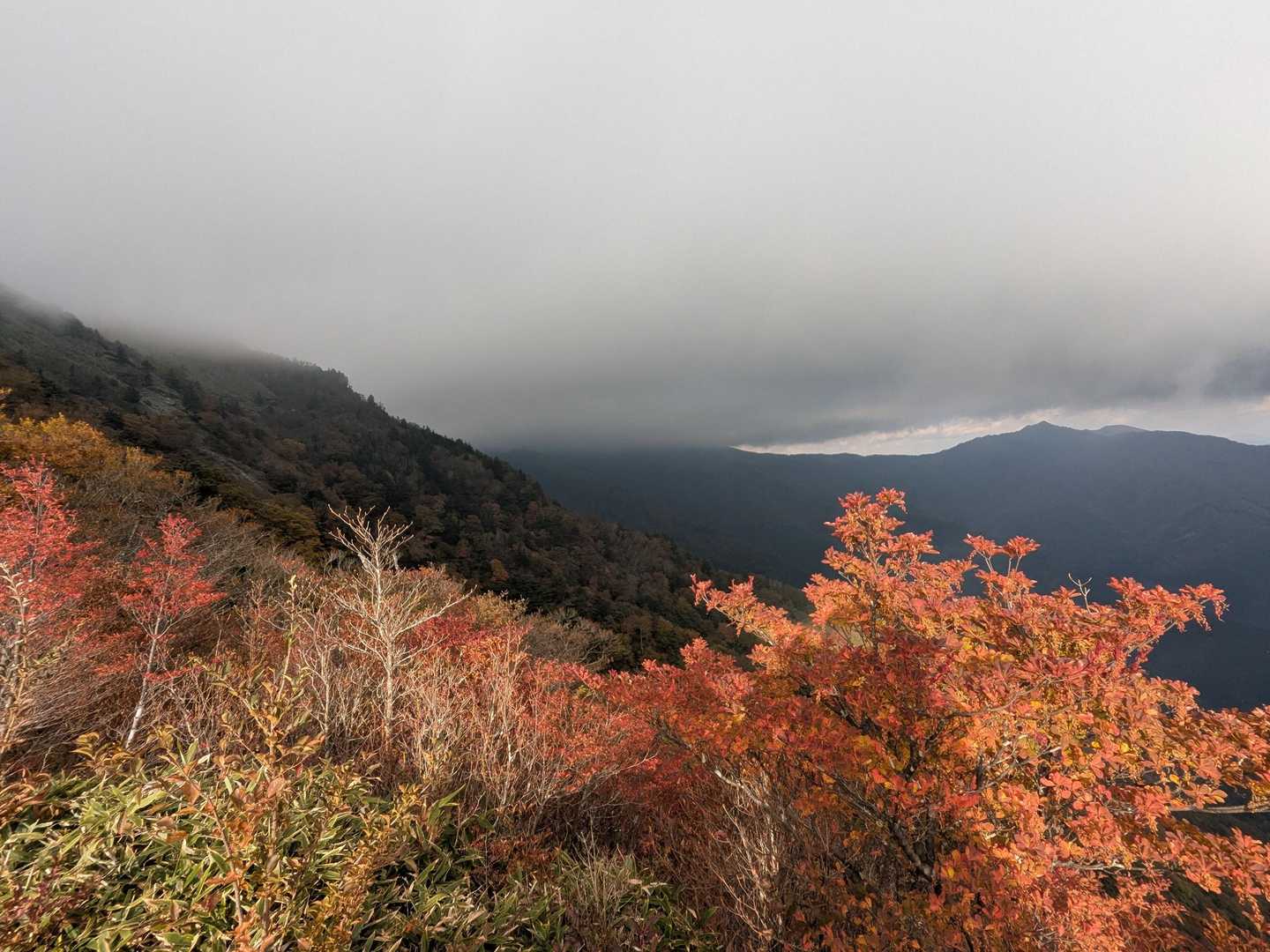 旧寒風山トンネル南口-桑瀬峠-寒風山-笹ヶ峰 往復コースの写真